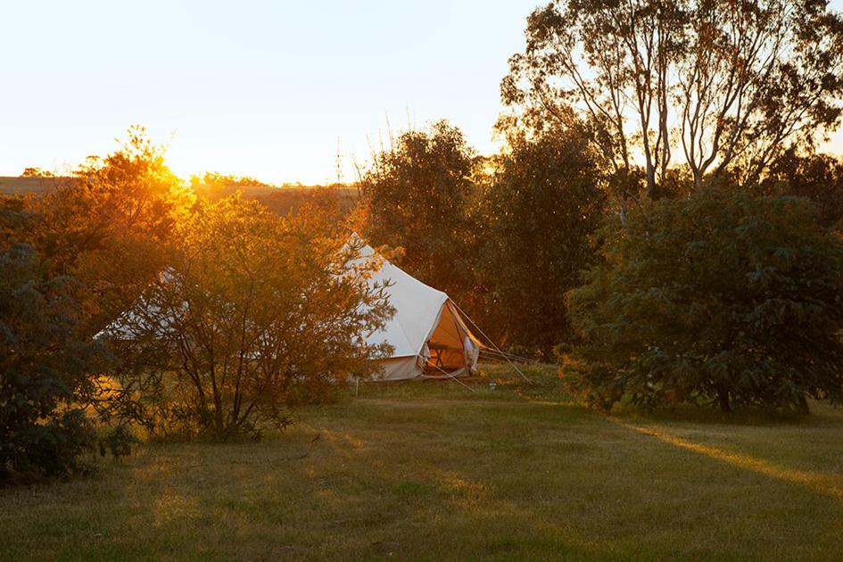 Gold Field Glamping